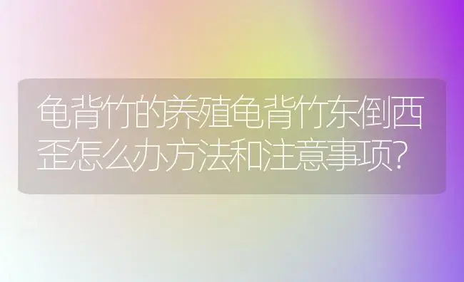 龟背竹的养殖龟背竹东倒西歪怎么办方法和注意事项？ | 植物问答