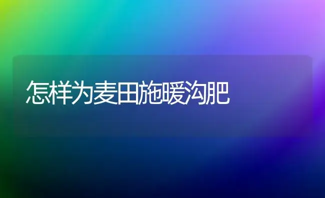 利用花卉植物净化室内环境四忌 | 植物科普