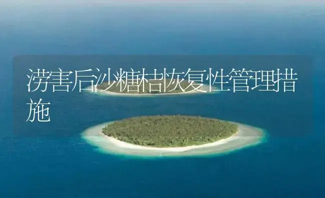 涝害后沙糖桔恢复性管理措施 | 植物百科