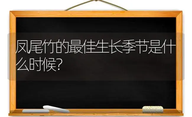 凤尾竹的最佳生长季节是什么时候？ | 植物问答