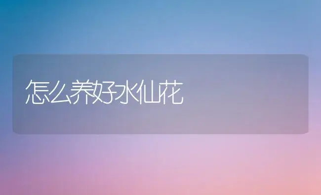 怎么养好水仙花 | 植物知识