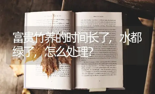 富贵竹养的时间长了,水都绿了,怎么处理？ | 植物问答