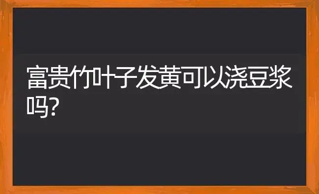 富贵竹叶子发黄可以浇豆浆吗？ | 植物问答