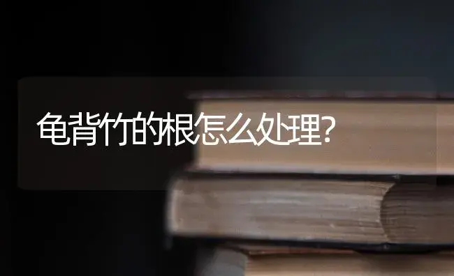 龟背竹的根怎么处理？ | 植物问答