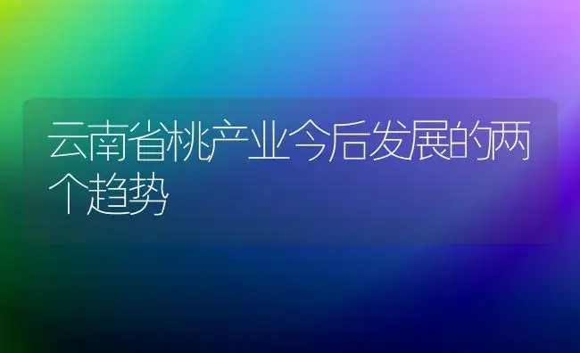 云南省桃产业今后发展的两个趋势 | 植物百科