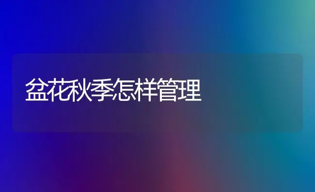 盆花秋季怎样管理 | 植物科普