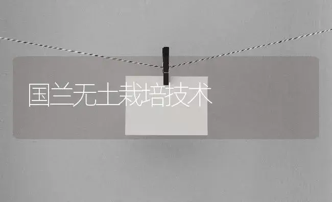 国兰无土栽培技术 | 植物知识