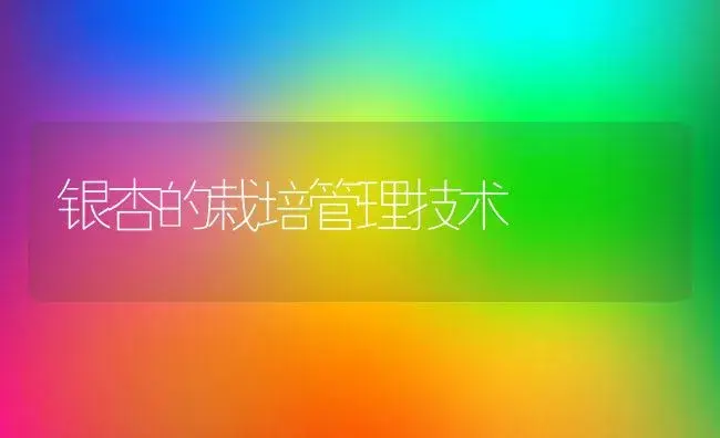 银杏的栽培管理技术 | 植物科普