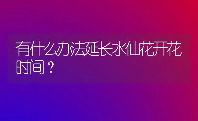 有什么办法延长水仙花开花时间？ | 植物科普