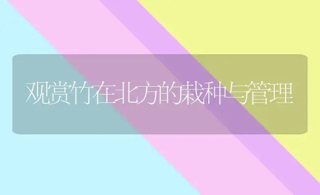 观赏竹在北方的栽种与管理 | 植物科普