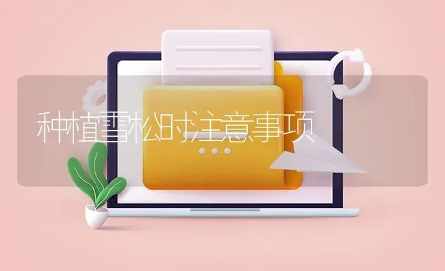 种植雪松时注意事项 | 植物知识