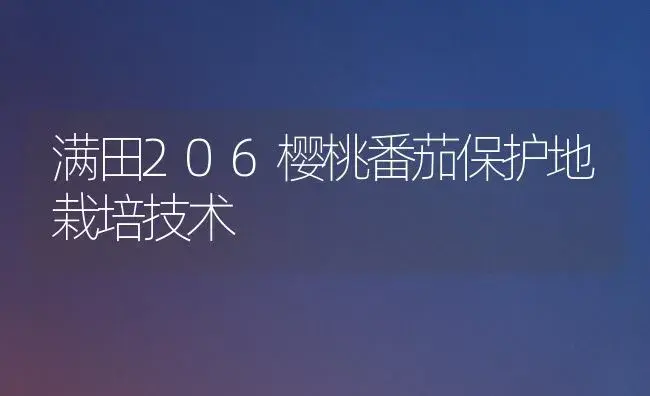 中国兰花有哪些种类 | 植物科普