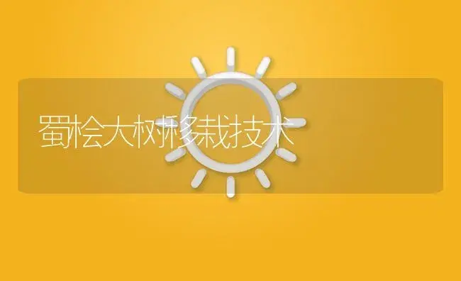 蜀桧大树移栽技术 | 植物知识