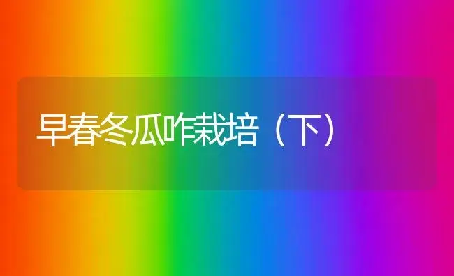 早春冬瓜咋栽培（下） | 植物科普