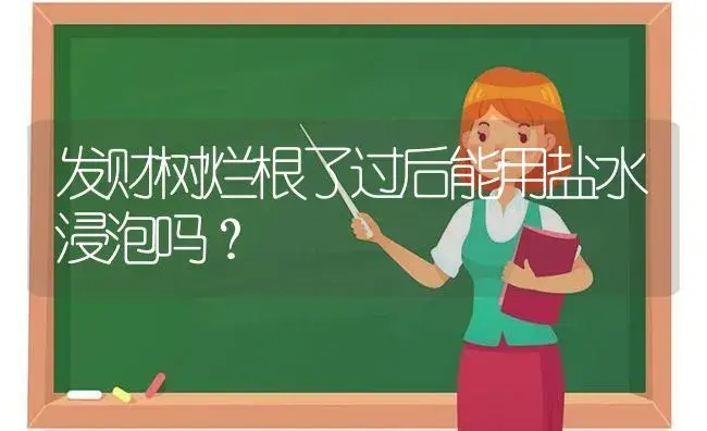 发财树烂根了过后能用盐水浸泡吗？ | 植物问答