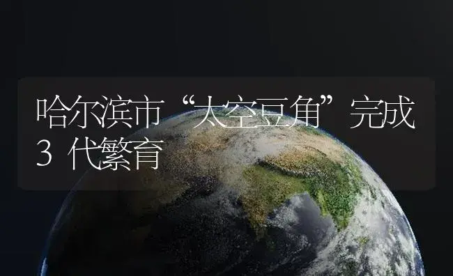 哈尔滨市“太空豆角”完成3代繁育 | 植物百科