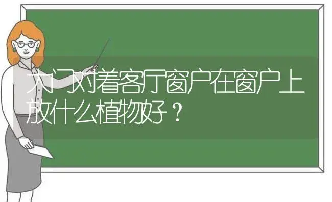 大门对着客厅窗户在窗户上放什么植物好？ | 植物问答