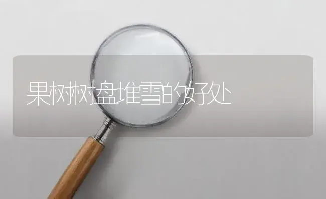 果树树盘堆雪的好处 | 植物百科