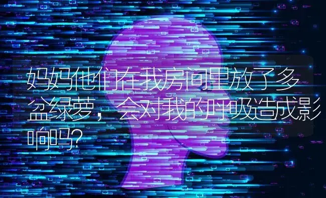 妈妈他们在我房间里放了多盆绿萝，会对我的呼吸造成影响吗？ | 植物问答