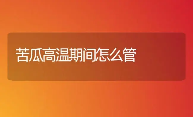 苦瓜高温期间怎么管 | 植物科普