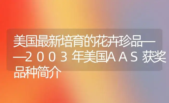 美国最新培育的花卉珍品——2003年美国AAS获奖品种简介 | 植物知识