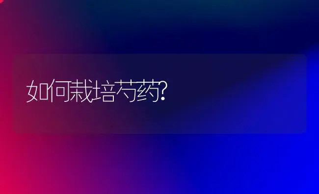 如何栽培芍药? | 植物知识