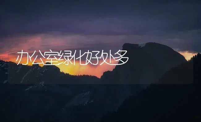办公室绿化好处多 | 植物知识