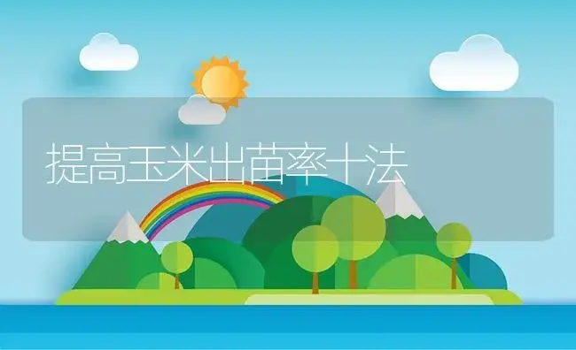 提高玉米出苗率十法 | 植物资料