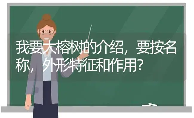 我要大榕树的介绍，要按名称，外形特征和作用？ | 植物问答