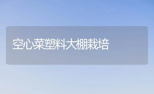 黑毛豆秋季栽培技术 | 植物百科