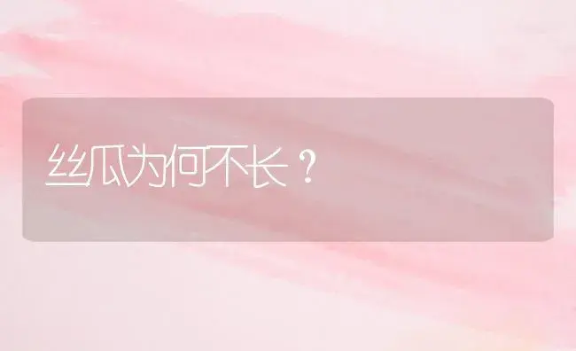 丝瓜为何不长？ | 植物百科