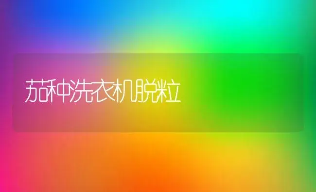 茄种洗衣机脱粒 | 植物科普