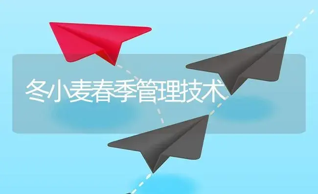 冬小麦春季管理技术 | 植物资料