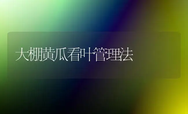 大棚黄瓜看叶管理法 | 植物科普