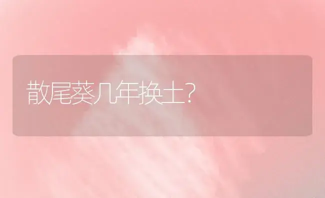 散尾葵几年换土？ | 植物问答
