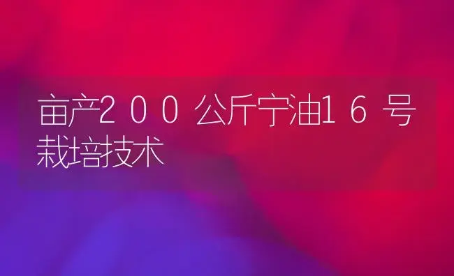 亩产200公斤宁油16号栽培技术 | 植物科普