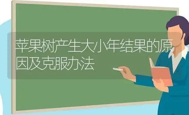 苹果树产生大小年结果的原因及克服办法 | 植物科普