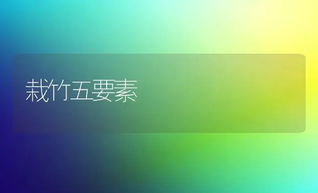 栽竹五要素 | 植物科普