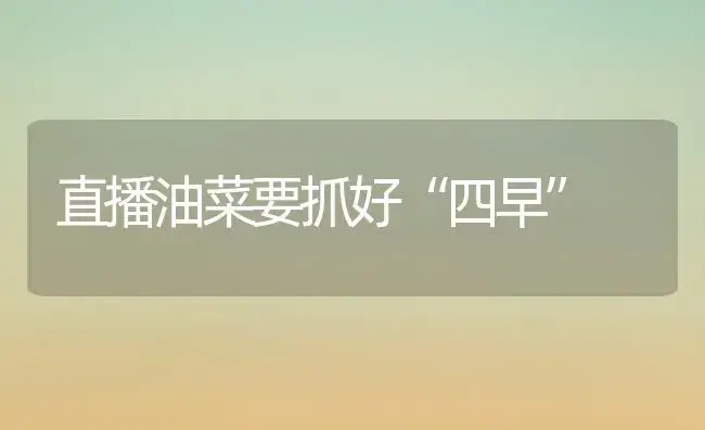 直播油菜要抓好“四早” | 植物科普