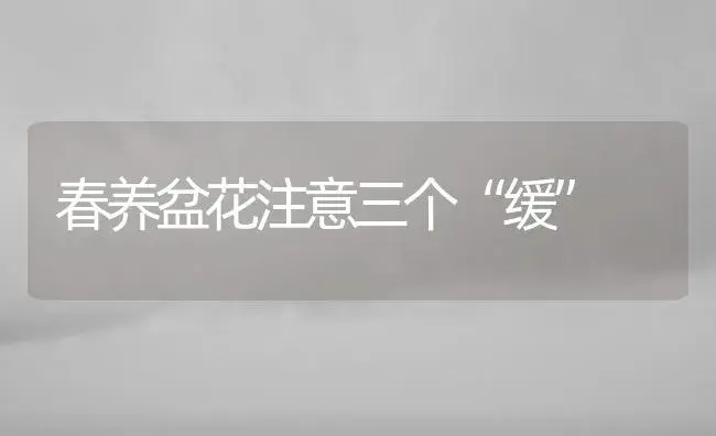 春养盆花注意三个“缓” | 植物知识