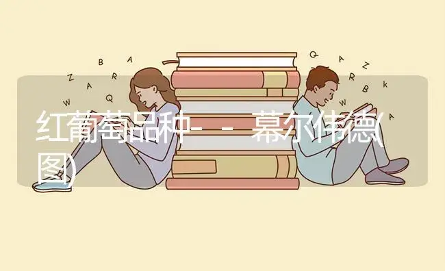 红葡萄品种--幕尔伟德(图) | 植物百科