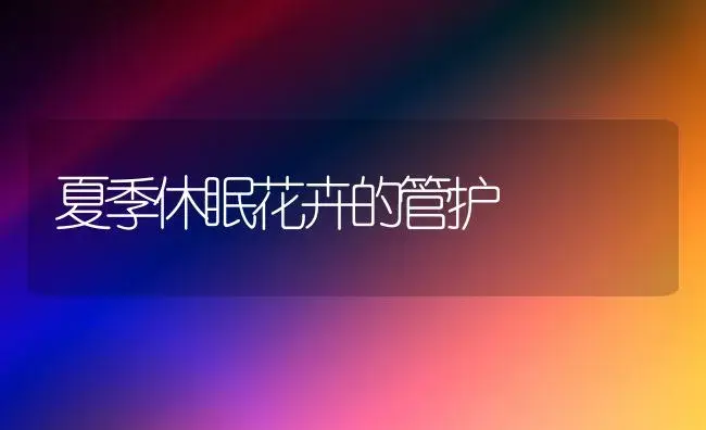 夏季休眠花卉的管护 | 植物知识