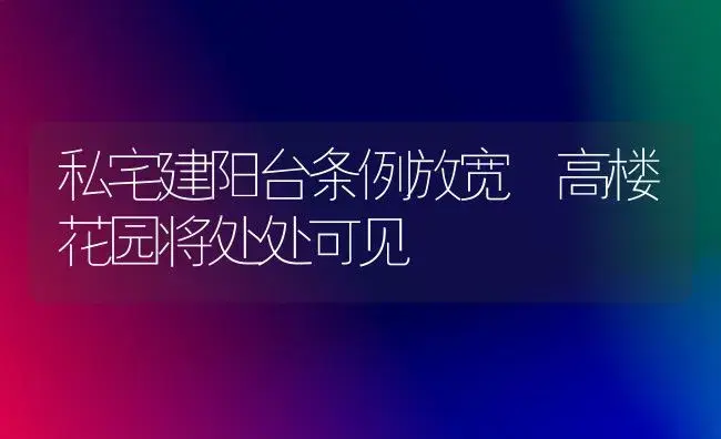 私宅建阳台条例放宽 高楼花园将处处可见 | 植物科普