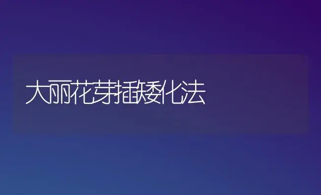 大丽花芽插矮化法 | 植物科普
