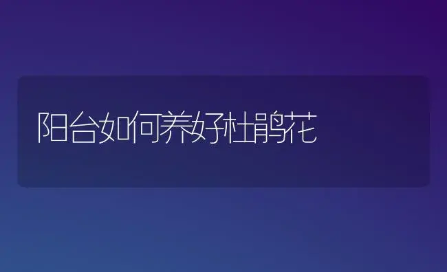 阳台如何养好杜鹃花 | 植物知识