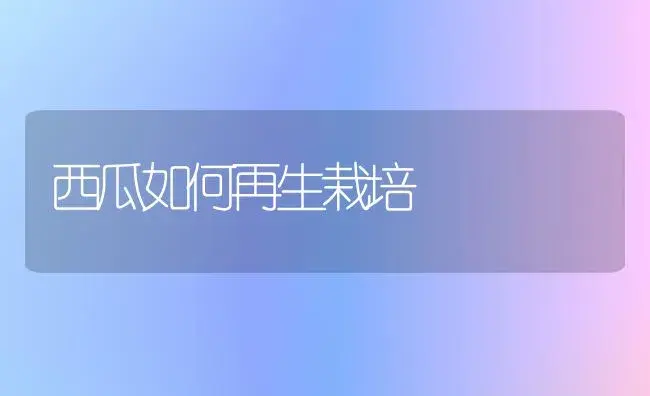 西瓜如何再生栽培 | 植物百科