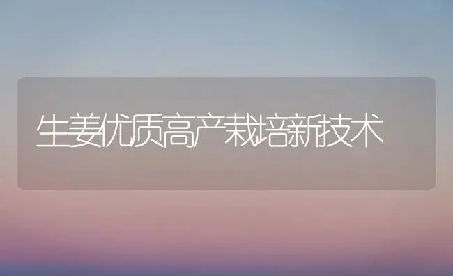 生姜优质高产栽培新技术 | 植物百科