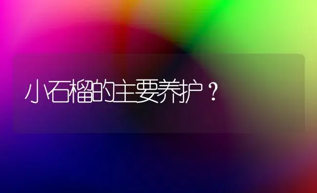 小石榴的主要养护？ | 植物科普
