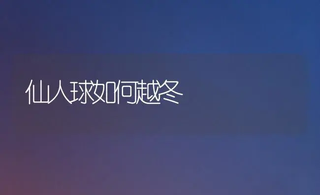 仙人球如何越冬 | 植物知识