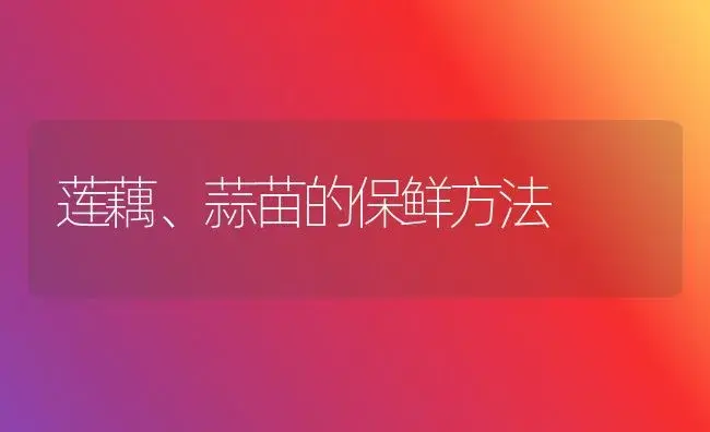 莲藕、蒜苗的保鲜方法 | 植物科普